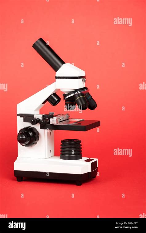 Modern Microscope 的图像结果