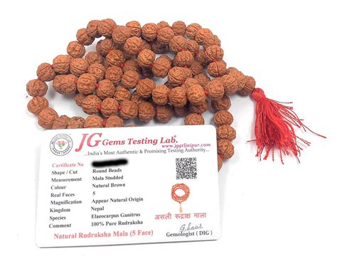 rocksmins Women Pathri Semi Chikna Rudraksha Mala (108+1 Guaranteed) 10 ...