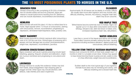 Inedible Plants
