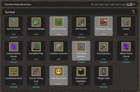 How to Add a Data Pack to Minecraft Java 的图像结果