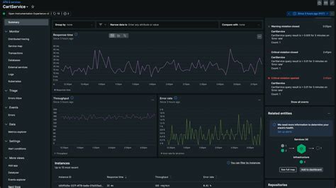 New Relic Monitoring Tool Tutorial 的图像结果