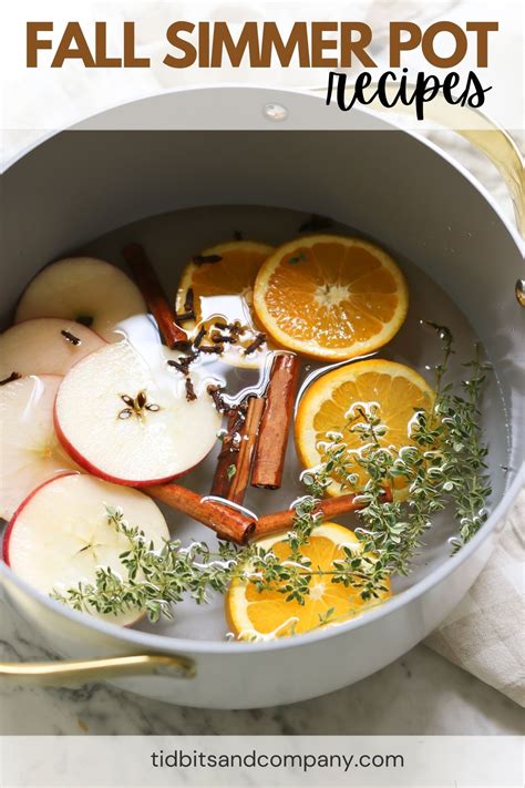 The Best Fall Simmer Pot Recipe - Tidbits
