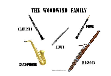 Musical Instrument 的图像结果