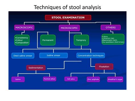 Image result for Stool Analysis Procedure