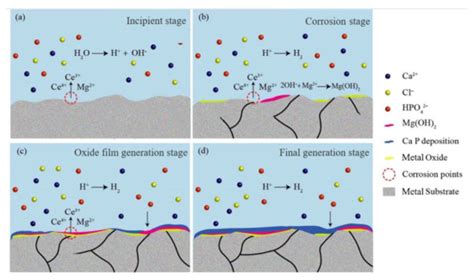 Effect of Varying Ce Content on the Mechanical Properties and Corrosion ...