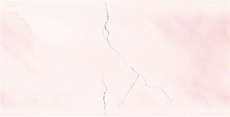 Michael McCorry Rose — Official Website