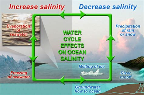 Ocean Salinity Explained 的图像结果