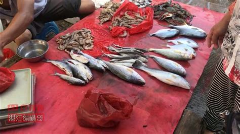 【原创】广东湛江海边王村港镇渔市实拍 渔民捞到海鲜就卖 几元一斤的都有 - YouTube