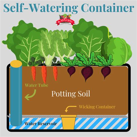 Self Watering Planter Diy