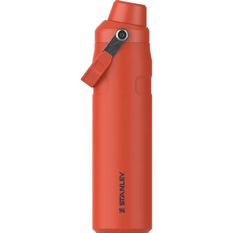 Stanley Aerolight Iceflow Fast Flow Tigerlily 20 Ounce Water Bottle ...