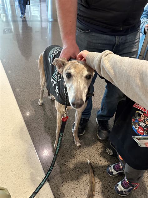 TLC Photo Gallery | Birmingham Airport Authority