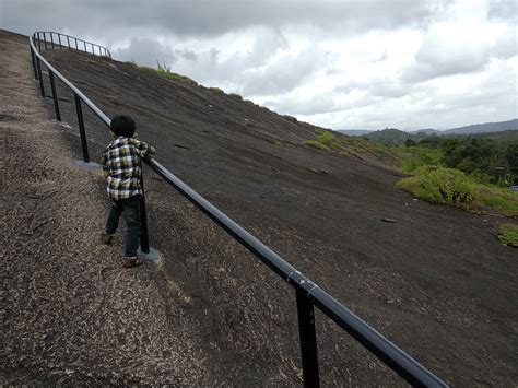 10 Best Restaurants in Thrissur: A Culinary Delight