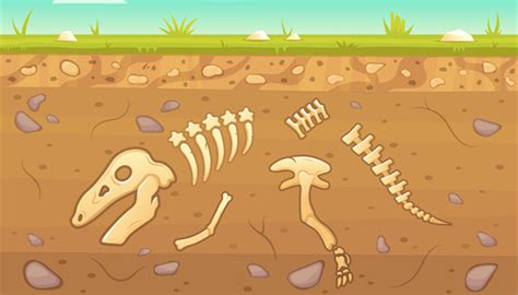 化石是如何形成的？为什么水里的生物死后更容易形成化石？