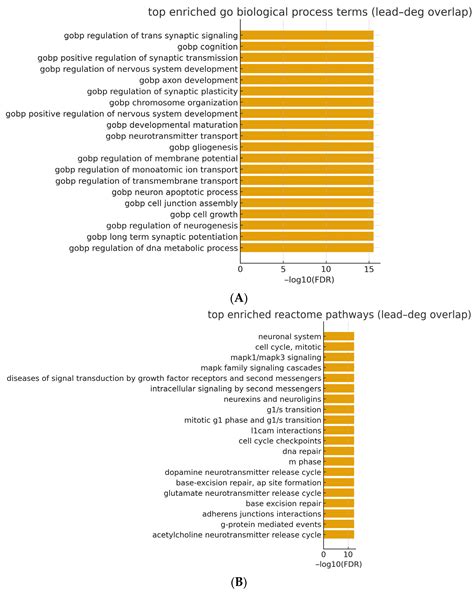 Lead Exposure and Bladder Cancer: Molecular Insights from TCGA RNA-Seq ...
