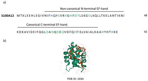 S100 Proteins as Novel Therapeutic Targets in Psoriasis and Other ...