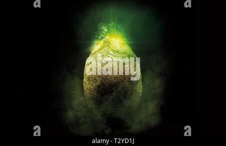 Image result for Alien 1979 Egg