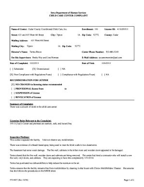 Fillable Online dhs iowa ReportDisplay.aspx. Sample Contract - dhs iowa ...