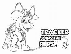 paw patrol malvorlagen tracker paw patrol tracker coloring pages getcoloringpages paw patrol malvorlagen tracker paw patrol tracker coloring pages getcoloringpages