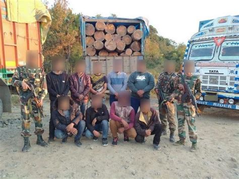 Assam Rifles seize 9 trucks loaded with pinewood worth Rs 10 lakh