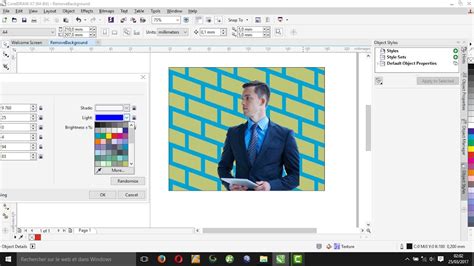 Image result for Remove Background in Corel