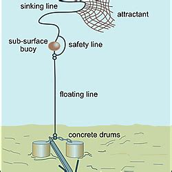 Fisheries 的图像结果