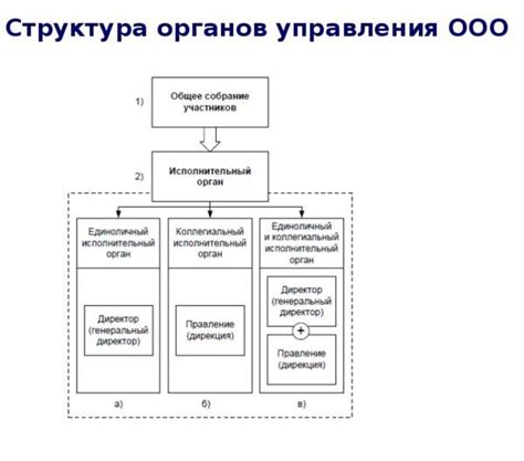 ООО органы управления