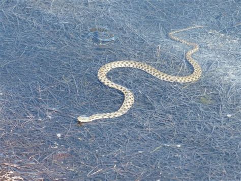 Absheron National Park (Baku) - 2020 What to Know Before You Go (with ...