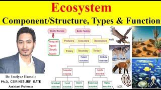 Image result for Ecosystem Structure and Function