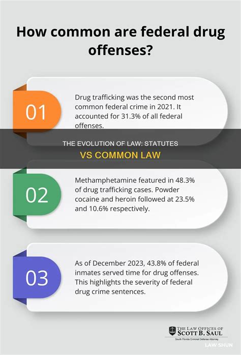 The Evolution Of Law: Statutes Vs Common Law | LawShun