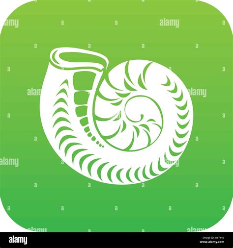 Image result for Normal Round Shell