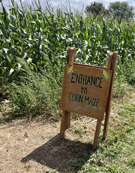 A Visit To Blake Farms in South Lyon
