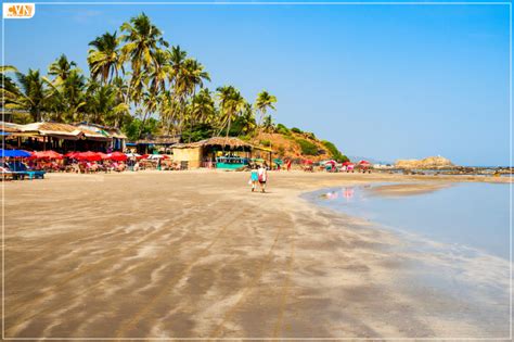 Image result for Goa Fusion