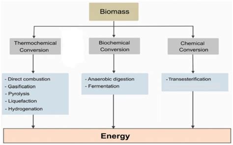Bioenergy Process 的图像结果