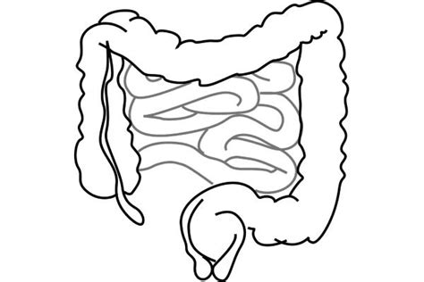 Kruljenje u crijevima – Prirodni lijek