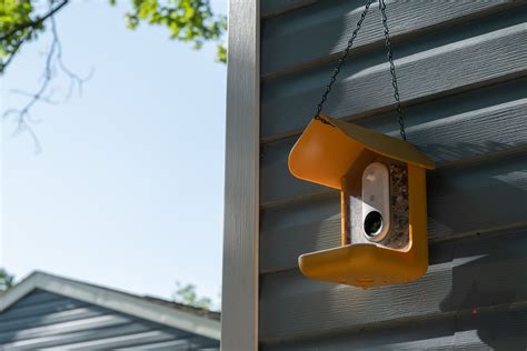 Bird Buddy smart bird feeder review: Amateur ornithology at its cutest