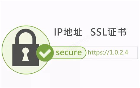 IP地址免费申请SSL证书，有效期90天，可多次签发！ - 如有乐享