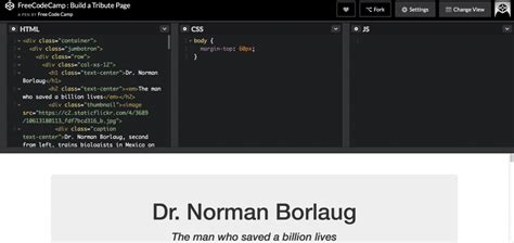 CodePen Code 的图像结果