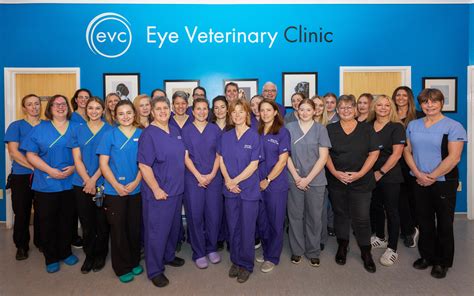 Ophthalmology Veterinary School at Jeremiah Jobe blog
