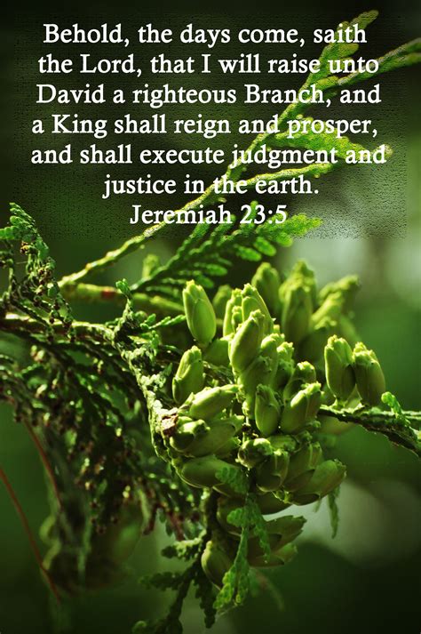 Soul Surfer Bible Verse Jeremiah