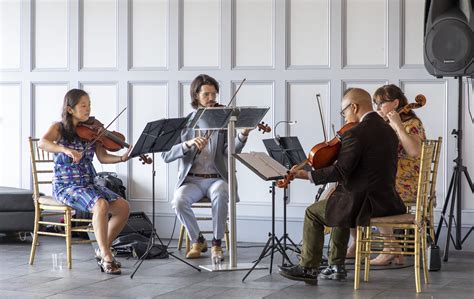 Image result for Beautiful Modern String Quartet