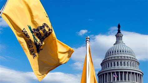 Who Held the USA Flag in the War 的图像结果