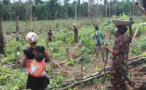 Advancing Farming Practices to Ensure Ghana’s Sustainable Future | AFR100