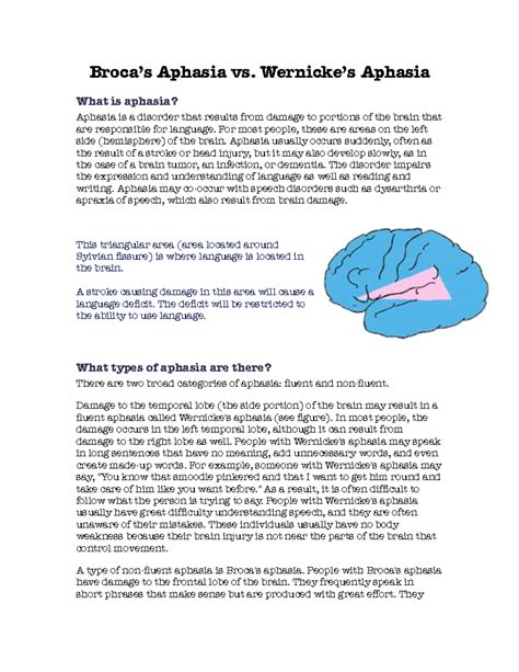 367358273 Broca's vs Wernicke's Aphasia Explained - Studocu