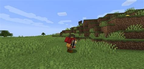 Image result for Curios API Integration