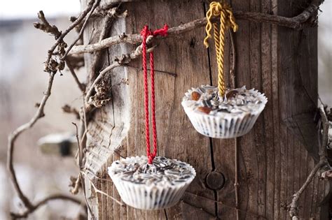 Vogelfutter selber herstellen - Servus