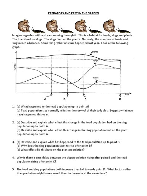 Predator Prey Worksheet | PDF