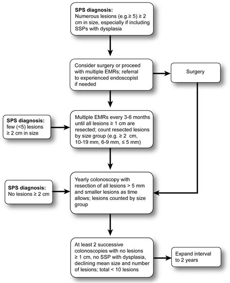 Serrated polyposis syndrome: risk stratification or reduction? | Gut