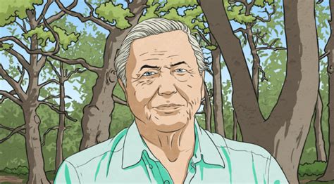 Who is David Attenborough? Facts, Info & Resources | Twinkl