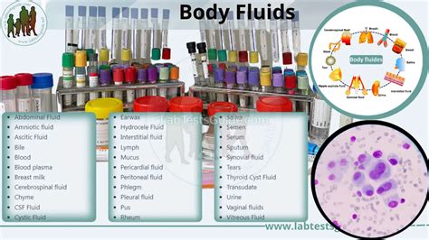 Body Fluids Analysis 的图像结果