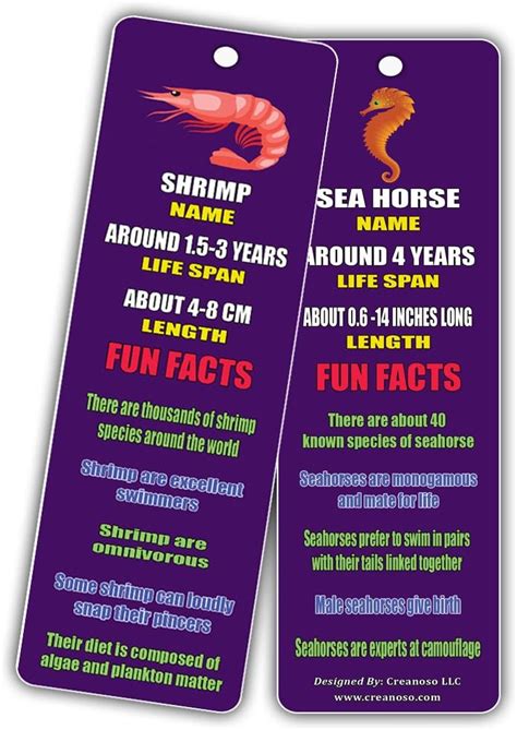 Buy Creanoso Fun Facts About Fish Bookmarks (12-Pack) - Nature and Sea ...